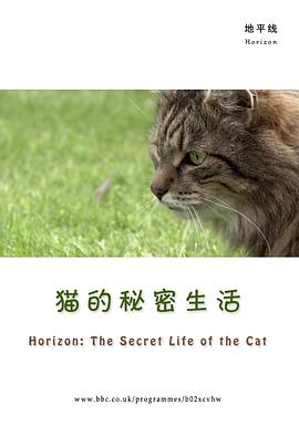 BBC地平线：猫的秘密生活 Horizon: The Secret Life of the Cat 高清迅雷网盘下载