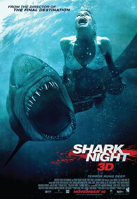 鲨鱼惊魂夜 Shark Night 3D 高清迅雷网盘下载