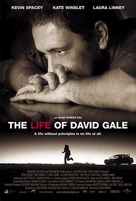 大卫·戈尔的一生 The Life of David Gale 高清迅雷网盘下载