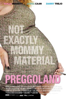 孕妇风波 Preggoland 高清迅雷网盘下载