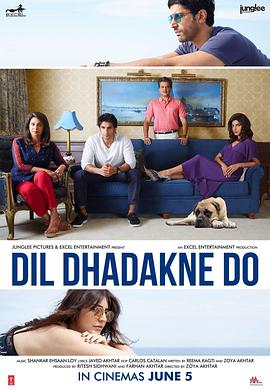 心跳零距离 Dil Dhadakne Do 高清迅雷网盘下载