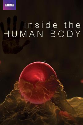 人体奥秘 Inside the Human Body 高清迅雷网盘下载