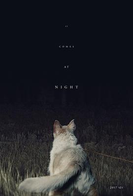 黑夜造访 It Comes at Night 高清迅雷网盘下载