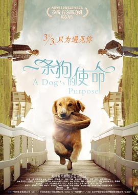 一条狗的使命 A Dog