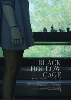 黑盒子 Black Hollow Cage 高清迅雷网盘下载