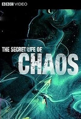 神秘的混沌理论 The Secret Life of Chaos 高清迅雷网盘下载