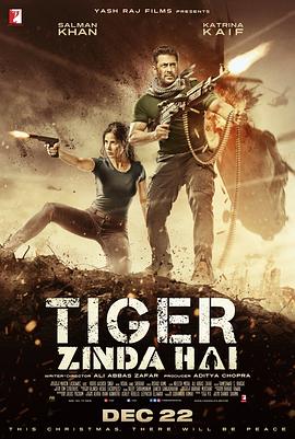 猛虎还活着 Tiger Zinda Hai 高清迅雷网盘下载