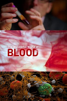 探索血液 The Wonderful World of Blood with Michael Mosley 高清迅雷网盘下载