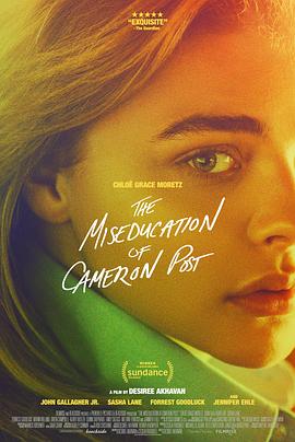 错误教育 The Miseducation of Cameron Post 高清迅雷网盘下载