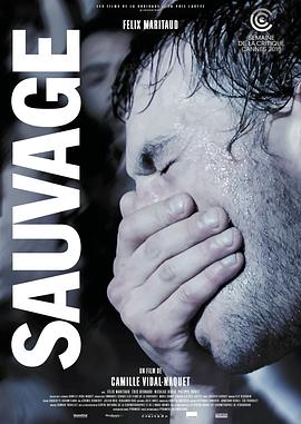 野性 Sauvage 高清迅雷网盘下载