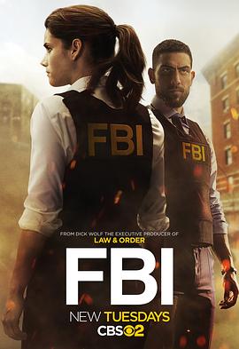 联邦调查局 第一季 FBI Season 1 高清迅雷网盘下载