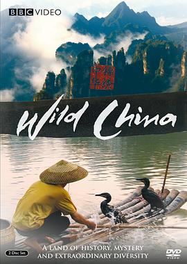 美丽中国 Wild China 高清迅雷网盘下载