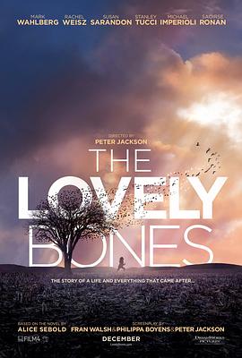 可爱的骨头 The Lovely Bones 高清迅雷网盘下载