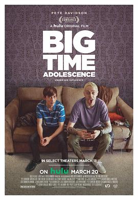 超级青春期 Big Time Adolescence 高清迅雷网盘下载