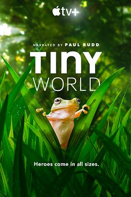 小小世界 第二季 Tiny World Season 2 高清迅雷网盘下载