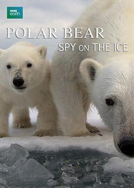 北极熊：冰上侦探 Polar Bears: Spy on the Ice 高清迅雷网盘下载