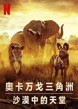 幸存的天堂 Surviving Paradise: A Family Tale 高清迅雷网盘下载