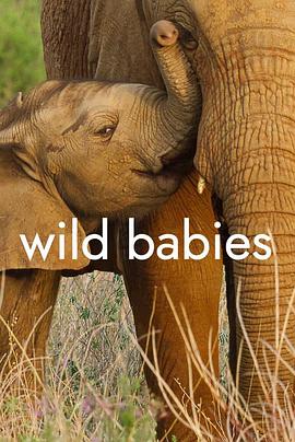 野生动物宝宝 第一季 Wild Babies Season 1 高清迅雷网盘下载