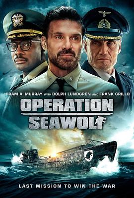 海狼行动 Operation Seawolf 高清迅雷网盘下载