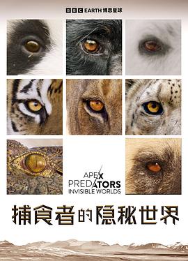 捕食者的隐秘世界 Apex Predators: Invisible Worlds 高清迅雷网盘下载