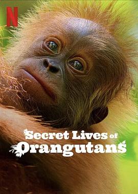 红毛猩猩的秘密生活 Secret Lives of Orangutans 高清迅雷网盘下载