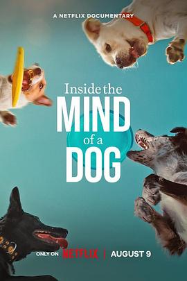 汪星人的奇思妙想 Inside the Mind of a Dog 高清迅雷网盘下载